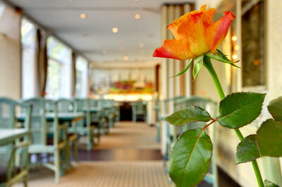 Hotel Senator Hamburg