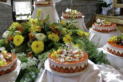 Hochzeitsplaner Oldenburg
