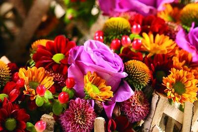Blumen DAMERIUS