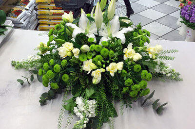 Südstern-Blumen