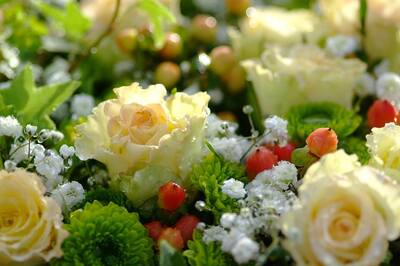 Gartencenter Wassenaar