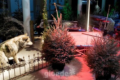 gloede*eventdesign