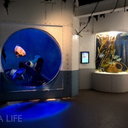 AquaDom & SEA LIFE Berlin