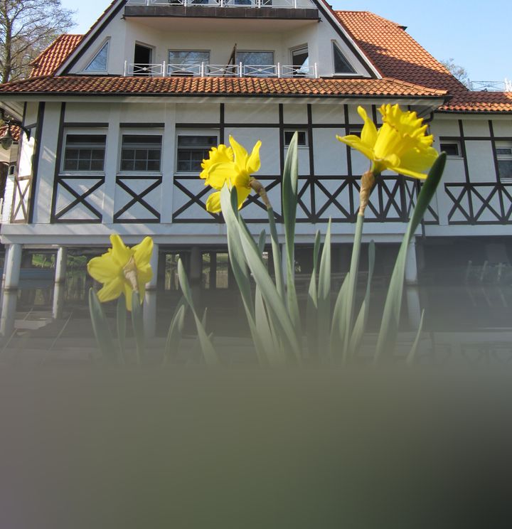 SeeLodge im Wald- und Seegut Kremmen