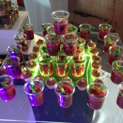green glasses Bio und Event Catering Berlin