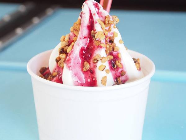 Mr. Whippy's Frozen Yogurt Truck