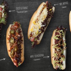 ISARDOGS Food Truck GbR