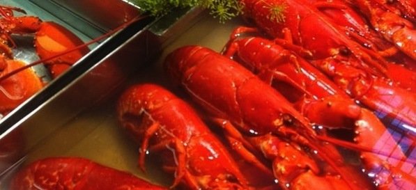 Erik Perthen Catering