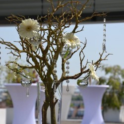 Food Creation Catering