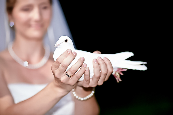 mein-Hochzeitsfotograf