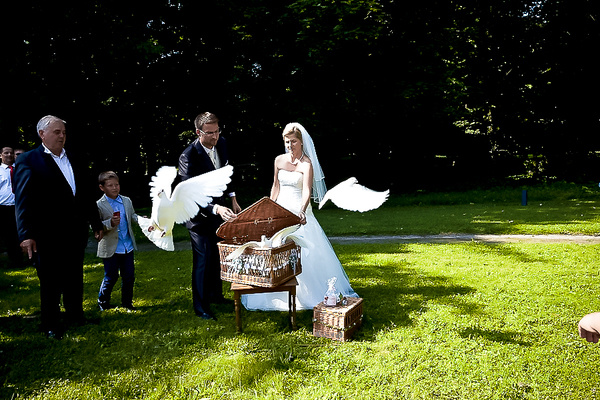 mein-Hochzeitsfotograf