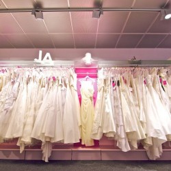 Princess Dreams Reinickendorf