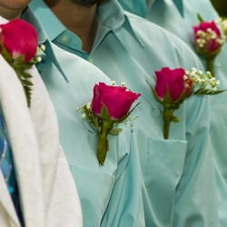 Reinweiss HOCHZEITEN