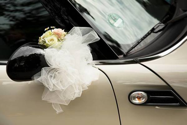 Falkenberg Photography