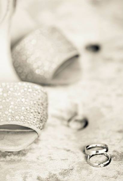 Falkenberg Photography