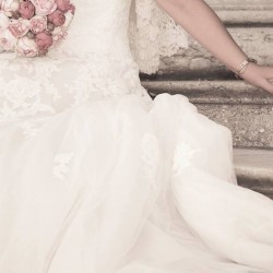 Falkenberg Photography