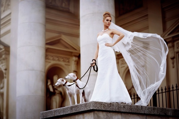 Bianco Evento