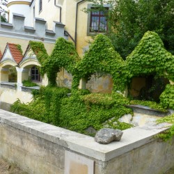 WEDDINGHELFER München