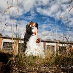 WORLDWILDWEDDING