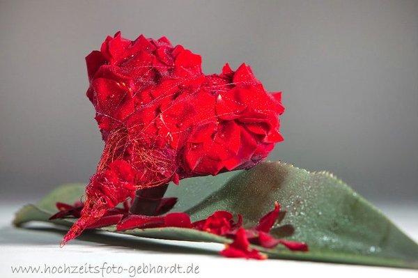 ARBES-GEBHARDT - HOCHZEITSFOTOGRAFIE