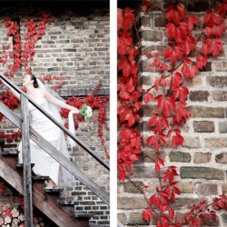 SCHNEEWEISS & ROSENROT