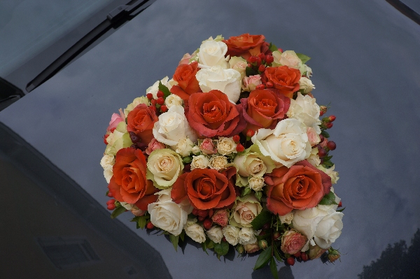 Hochzeitsplaner Detlev Beier