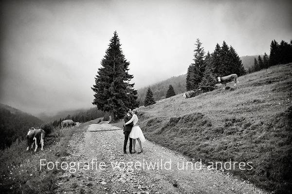 Fotografie vogelwild und andres