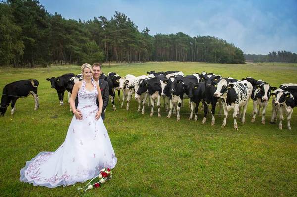 hochzeitsfotografin-berlin.com