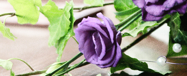 Das Fotostudio Berlin