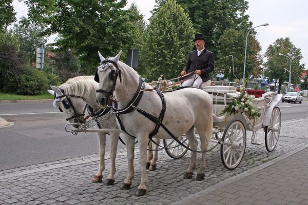 Das besondere Fotobuch