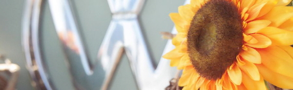 WHITE-SESSION AUGSBURG