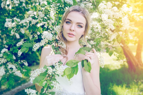 David Friedmann Photography