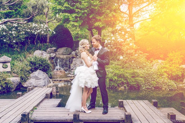 David Friedmann Photography