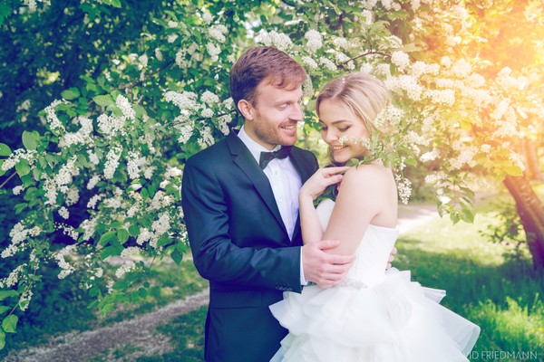 David Friedmann Photography