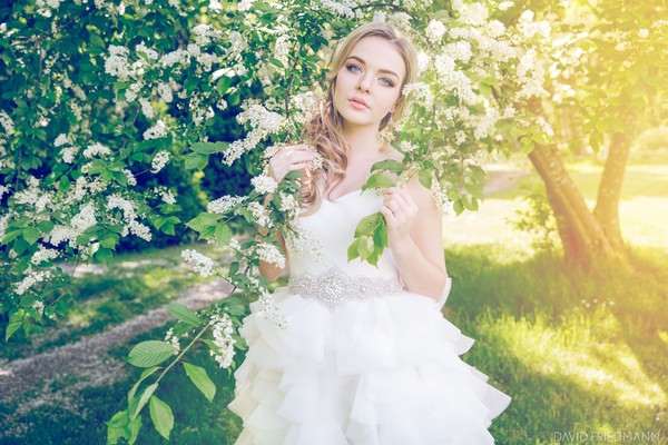 David Friedmann Photography