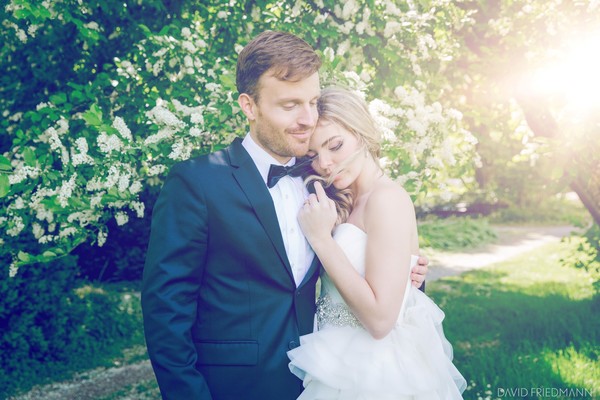 David Friedmann Photography