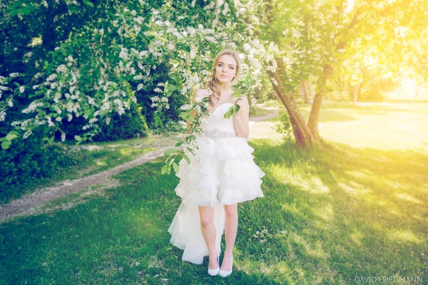 David Friedmann Photography