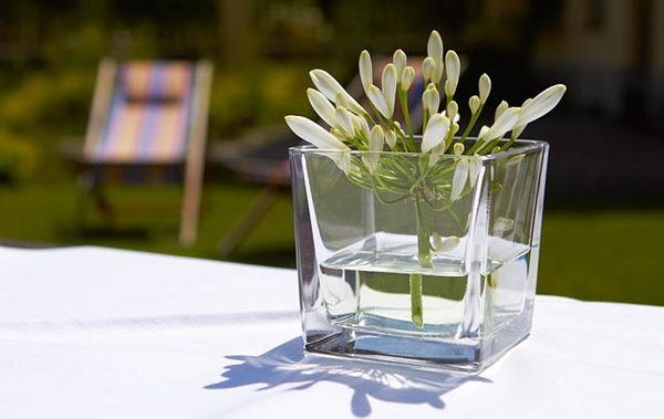 DER STIMMUNGSFESTHALTER