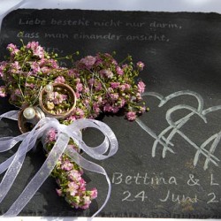 DER STIMMUNGSFESTHALTER