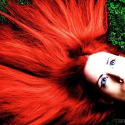 Fotograf Philippe Rives