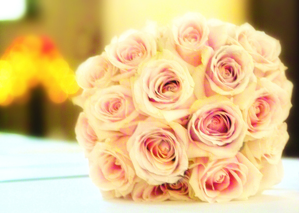 Fotograf Ilona Ellmenreich