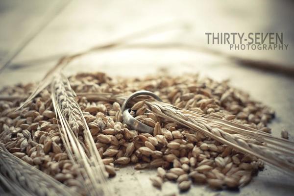 THIRTY-SEVEN Photography