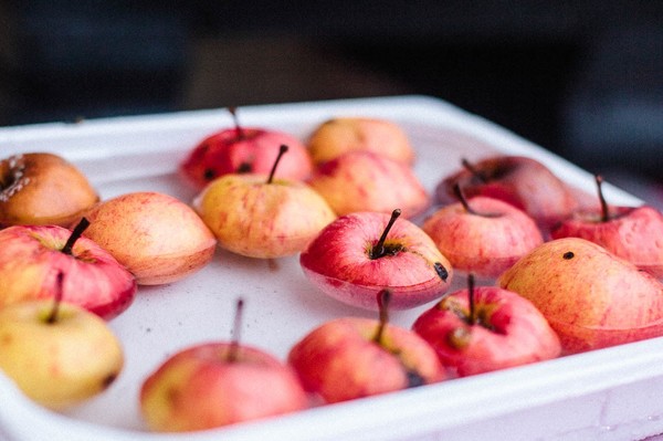 Spree-Liebe Hochzeitsfotografie