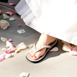 Sternstunden, zauberhafte Fotos und feine Papierideen Nicole Albrecht Fotografin