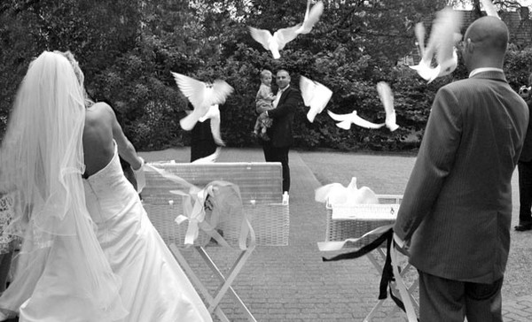 Susi Schmidtke Photography