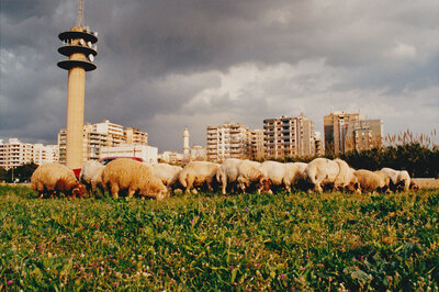 Marion Beckhäuser Freiberufliche Fotografin