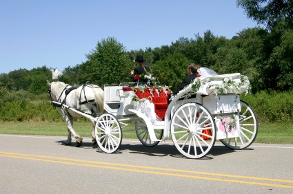 Sensation Eventdesign