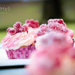 Contigo Hochzeiten Pankow