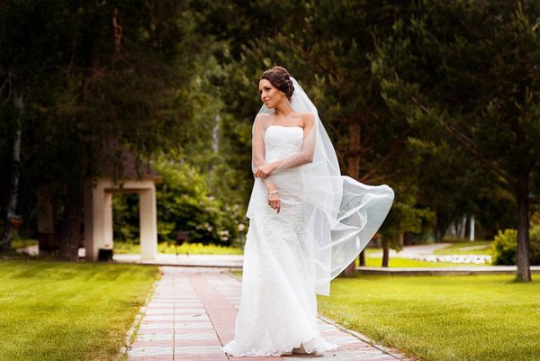 Janet Busch Photography