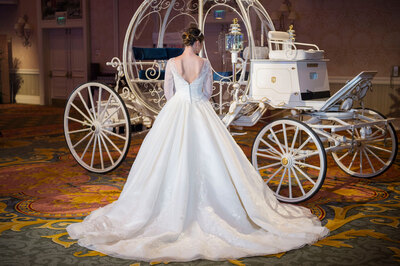 Cinderella Wedding Planner